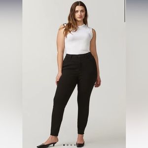 Warp + Weft Milan High Rise Skinny Jean in Wax Coated Onyx Size 31 (US 12)